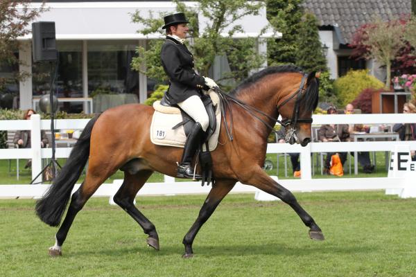 Tongerenhof Topas